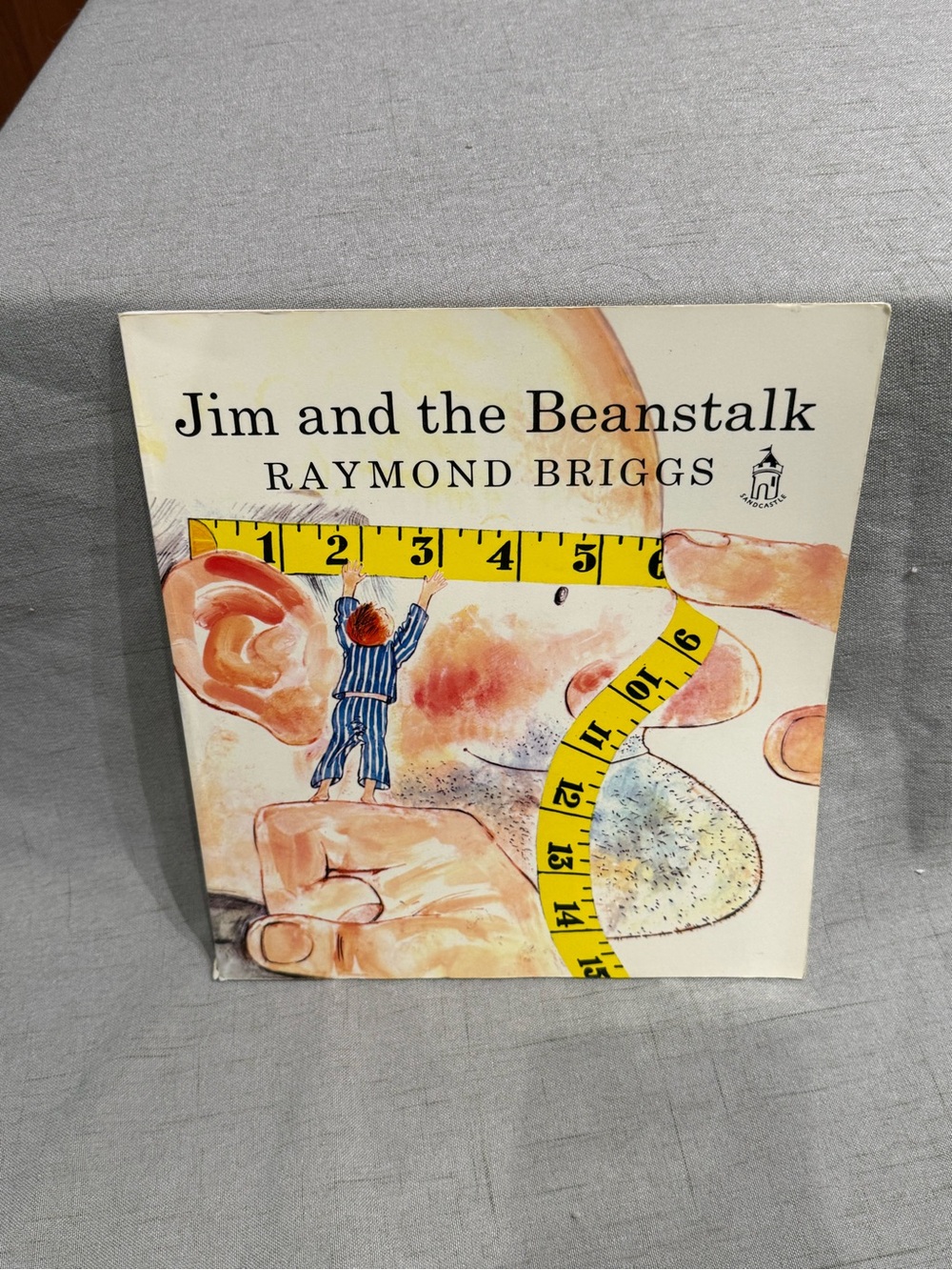 VIINTAGE:  JIM AND THE BEANSTALK Raymond Briggs 1970 Paperback Book